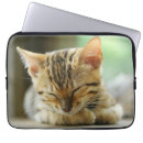 Search for bengals electronics Kitten
