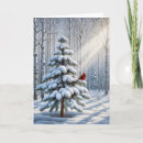 Search for red cardinal bird christmas cards Winter
