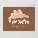 Search for endangered animals postcards Funny