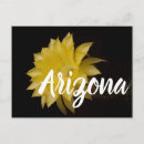 Search for delightful postcards Flowers