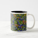 Search for blue bonnet mugs Texas