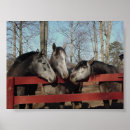 Search for digital horse posters Animals