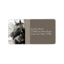 Search for funny horse return address labels Horses