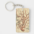 Search for underwater key rings Coral reef