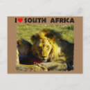 Search for staring postcards Animal