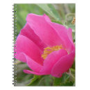 Search for blossums Roses