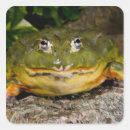 Search for burrow stickers Animal