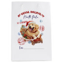 Search for christmas dog gift bags Golden retriever
