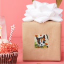 Search for calico cats stickers Cute