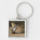 Search for quail key rings Hunting