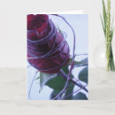 Search for rose macro cards Red