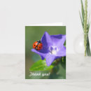 Search for ladybug thank you cards Nature