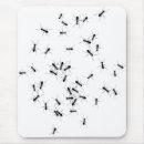 Search for ant mouse mats Funny