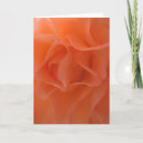 Search for tangerine cards Floral