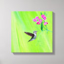 Search for hummingbird painting canvas prints Birds