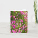 Search for sweetpea cards Pink