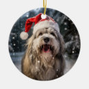 Search for polish christmas tree decorations Polish lowland sheepdog