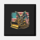 Search for declaration of independence magnets 1776
