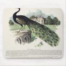Search for descriptions mouse mats Colour