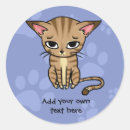 Search for sad cat stickers Kitten