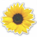 Search for big sunflower stickers Birthday