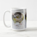 Search for conure parrot mugs Cute