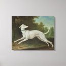 Search for greyhound canvas prints Dog