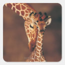 Search for giraffe head stickers Vertical