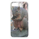 Search for nut cases Cute