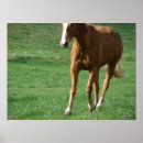 Search for extender posters Photography