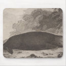 Search for otter mouse mats Illustration