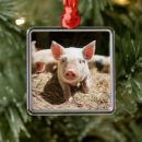 Search for baby pig christmas tree decorations Piglet