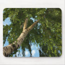 Search for birch mouse mats White