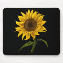Search for sunshine flower mouse mats Sunflower