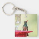 Search for belly key rings Animal