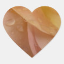 Search for pink rose petals stickers Peach