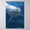 Search for looking front posters Looking at camera