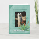 Search for collectable cards Nature
