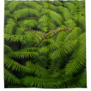 Search for fern shower curtains Floral
