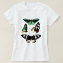 Search for butterflies tshirts Vintage