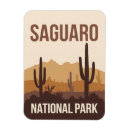 Search for saguaro magnets Arizona