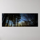 Search for fall moons posters Night