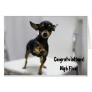 Search for high fiving Animal