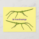 Search for insect postcards Arthropoda