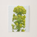 Search for cutout puzzles Plants
