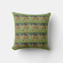 Search for farm cushions Pet