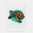 Search for vector illustrations Turtle