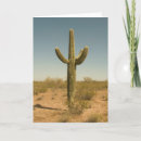 Search for arid cards Cactus