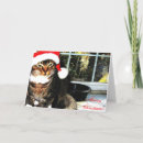 Search for tabby cat christmas cards Kitten