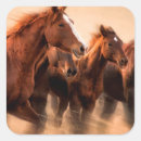 Search for mane stickers Animal